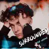 Surrounded (feat. Werdoe) - Single album lyrics, reviews, download