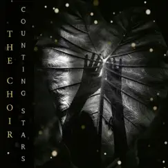 Counting Stars - Single by The Choir album reviews, ratings, credits