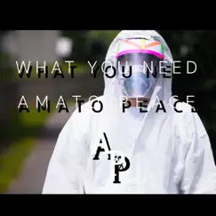 What You Need - Single by Amato Peace album reviews, ratings, credits