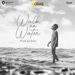 Walk on Water - Single by D. Grae album reviews, ratings, credits