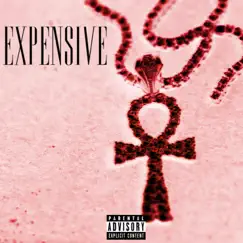 Expensive (feat. Gfb_tbaby) - Single by The Moheagon album reviews, ratings, credits