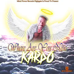 Where Are You Now - Single by Kardo album reviews, ratings, credits