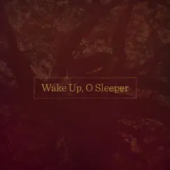 Wake up, O Sleeper - Single by Yellowhammer Hymns album reviews, ratings, credits