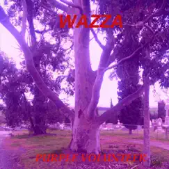 Purple Volunteer - Single by Wazza album reviews, ratings, credits