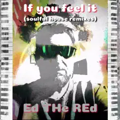 If You Feel It (Soulful House Remixes) - Single by Ed the Red album reviews, ratings, credits
