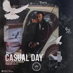 Casual Day - Single by Sha Town album reviews, ratings, credits