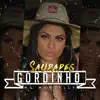 Saudades Gordinho song lyrics