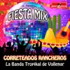 Fiesta Mix 2020 Correteados Rancheros - Single album lyrics, reviews, download