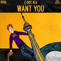 Want You Song Lyrics