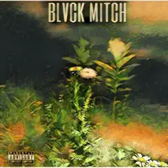 Observe (Bonus Track) - Single by Blvck Mitch album reviews, ratings, credits