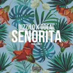 Señorita - Single by Odeal, RzBeats & Dizzilo album reviews, ratings, credits