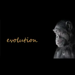 Evolution - Single by Mikuendo album reviews, ratings, credits