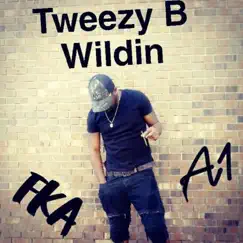 T.O.B by Tweezy B Wildin' album reviews, ratings, credits