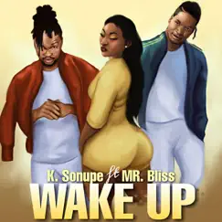 Wake Up (feat. Mr. Bliss) - Single by K. Sonupe album reviews, ratings, credits