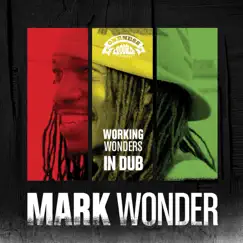 Working Wonders in Dub by Mark Wonder & Umberto Echo album reviews, ratings, credits