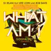 What Am I Gonna Do? (feat. Leee John, Rob Davis) [Remixes] {Mixed} - Single album lyrics, reviews, download