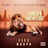 Unknown Knowledge - Single album lyrics, reviews, download