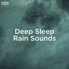 !!#01 Deep Sleep Rain Sounds by Rain Sounds & Rain for Deep Sleep album reviews, ratings, credits