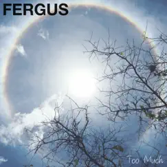 Too Much - Single by Fergus album reviews, ratings, credits
