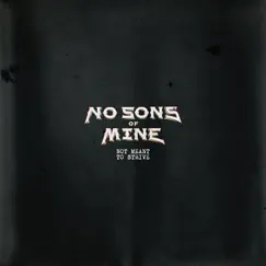 Not Meant to Strive - Single by No Sons of Mine album reviews, ratings, credits