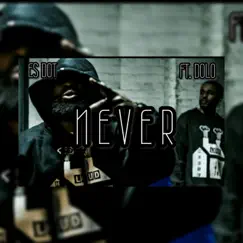 Never (feat. Dolo) - Single by Es Dot album reviews, ratings, credits