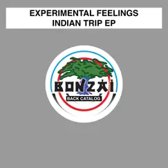 Indian Trip - Single by Experimental Feelings album reviews, ratings, credits