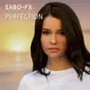 Perfection - Single album lyrics, reviews, download