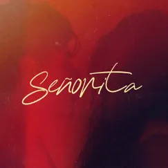 Señorita (Originally Performed by Shawn Mendes and Camila Cabello) (Instrumental Karaoke) - Single by MC Karaoke album reviews, ratings, credits