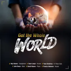 Got the Whole World (feat. Seun Laoye, Yomi Omidiran, John Gwan, David Adams & Francis Adeosun) - Single by Niyi Adams album reviews, ratings, credits