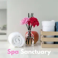 Spa Sanctuary - Wellness Peaceful Songs & Vibes for Buddhist Meditation by Vegan Jylie album reviews, ratings, credits