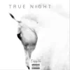 True Knight album lyrics, reviews, download