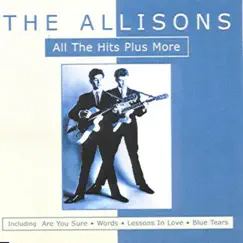 All the Hits Plus More by The Allisons album reviews, ratings, credits