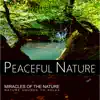 Miracles of the Nature - Nature Sounds to Relax album lyrics, reviews, download