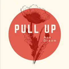 Pull Up - Single by Ace Dream album reviews, ratings, credits