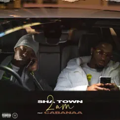 2AM (feat. Cabanaa) - Single by Sha Town album reviews, ratings, credits
