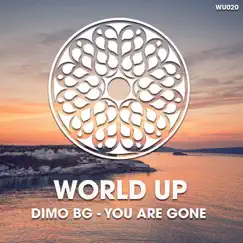 You Are Gone (Dub Mix) Song Lyrics