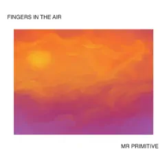 Fingers in the Air by Mr Primitive album reviews, ratings, credits