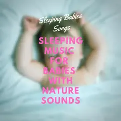 Rain Sounds for Sleeping (Morning Rain) Song Lyrics