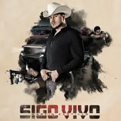 Sigo Vivo - Single by Martín Castillo album reviews, ratings, credits