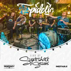 Tropidelic Live at Sugarshack Sessions by Tropidelic album reviews, ratings, credits