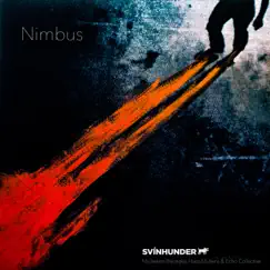 Nimbus - Single by Svínhunder, Hans Mullens, Michelino Bisceglia & Echo Collective album reviews, ratings, credits