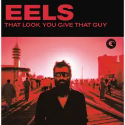 That Look You Gave That Guy - Single by Eels album reviews, ratings, credits