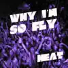 Why I'm so Fly - Single album lyrics, reviews, download