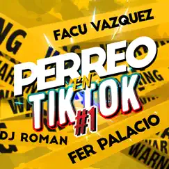 Perreo en Tik Tok 1 - Raka Taka Taka (feat. DJ Roman & Facu Vazquez) Song Lyrics