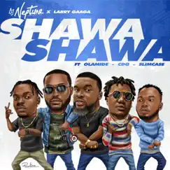 Shawa Shawa (feat. Larry Gaaga, Olamide, CDQ & Slimcase) - Single by DJ Neptune album reviews, ratings, credits
