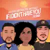 If I Didn't Have You (Remix) [Original Motion Picture] - Single album lyrics, reviews, download