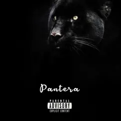 Pantera (feat. Denior Máximo & Kuesko El Acrisse) - Single by Kamblade album reviews, ratings, credits