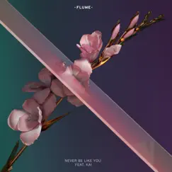 Never Be Like You (feat. Kai) Never Be Like You (feat. Kai) - Single by Flume album reviews, ratings, credits