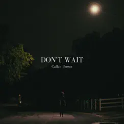 Don't Wait - Single by Callan Brown album reviews, ratings, credits