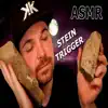 A.S.M.R. Tingly Stein Trigger - EP album lyrics, reviews, download